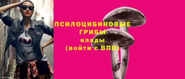 индика Покров