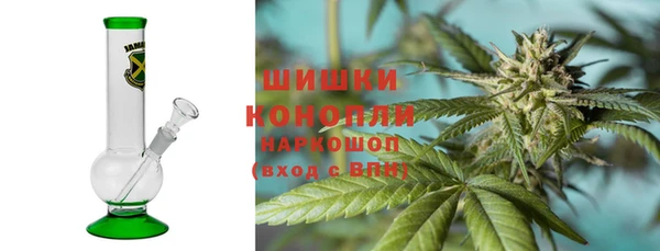 индика Покров