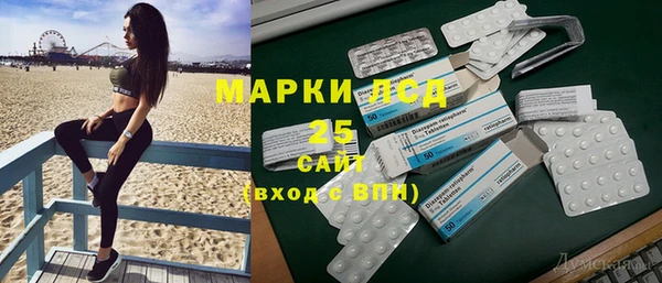 индика Покров