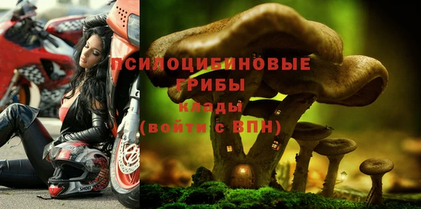 герыч Переславль-Залесский