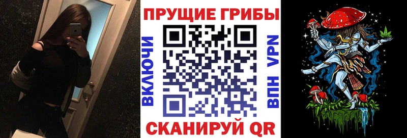 Псилоцибиновые грибы GOLDEN TEACHER  сколько стоит  Снежинск 