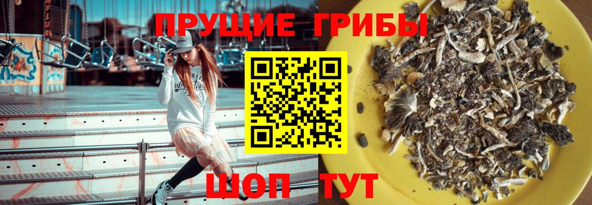 Снежинск  Галлюциногенные грибы ЛСД  Вход с VPN  наркошоп  Псилоцибиновые грибы Psilocybe 